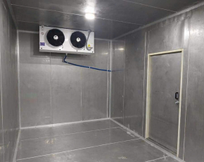 Thi Công Kho Lạnh Bảo Quản Thực Phẩm TP HCM