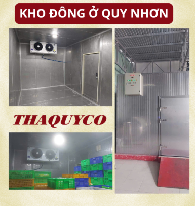 THI CÔNG KHO ĐÔNG Ở QUY NHƠN